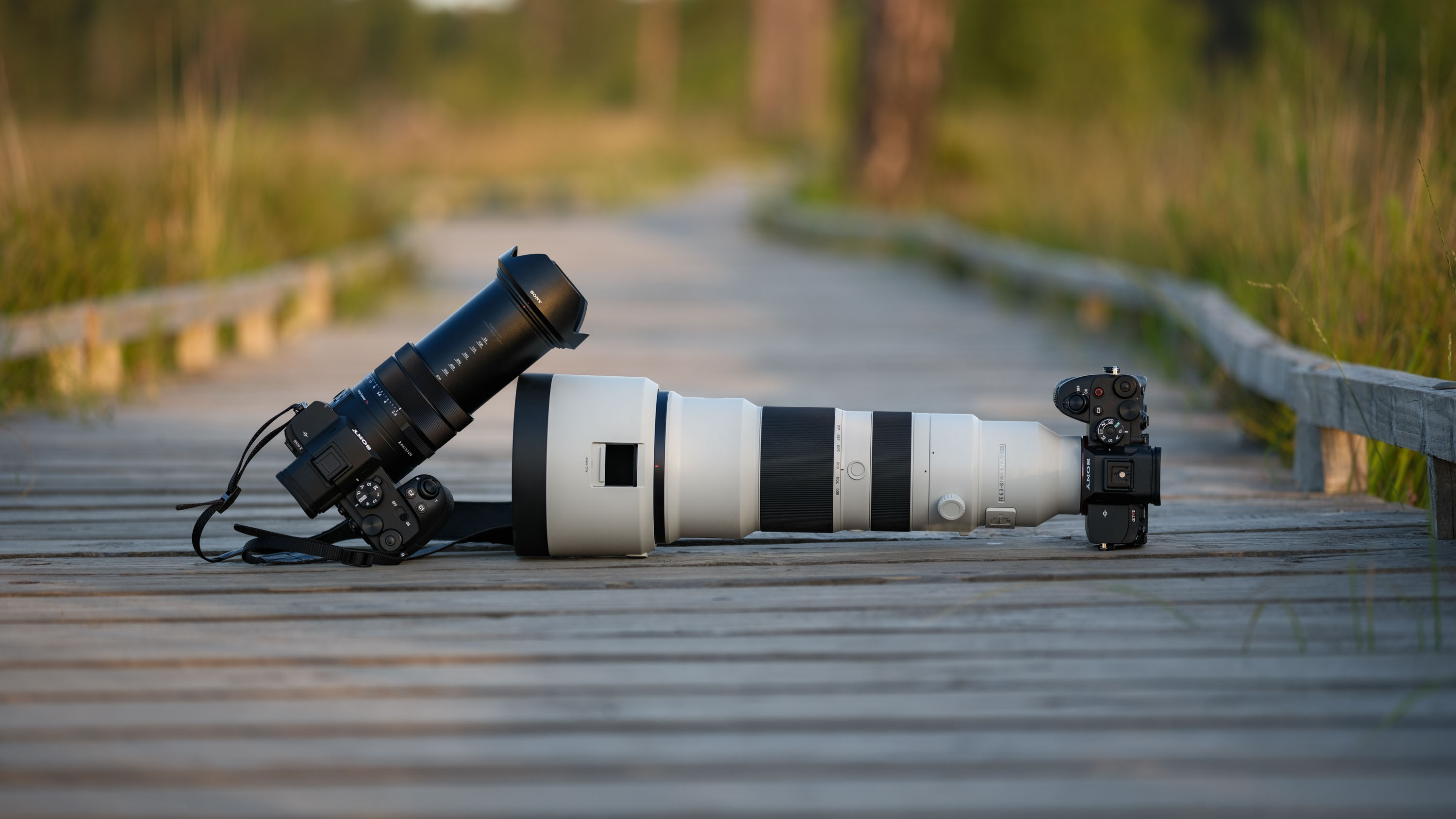 Sony RX10 V bridge camera alongside Sony 400-800mm lens attached to an A7R V on a boardwalk in a nature reserve at golden hour