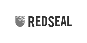 RedSeal Networks Logo